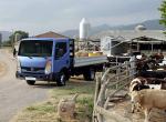 Nissan Cabstar 2006 года
